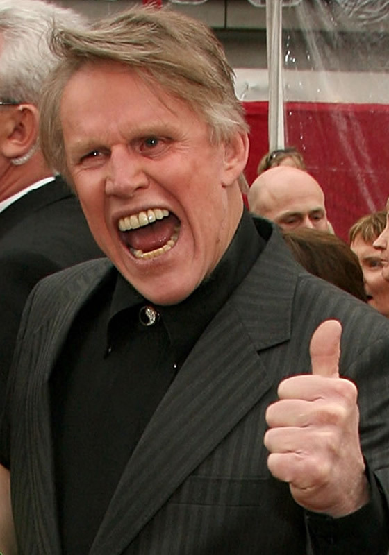 Gary Busey