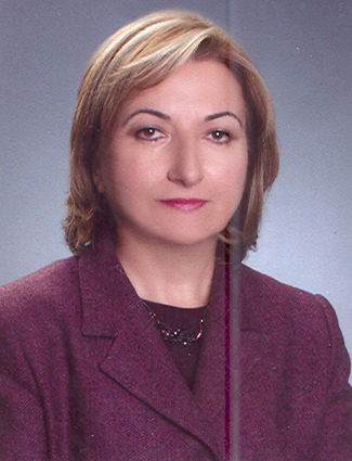 H.Ceyda Kerman